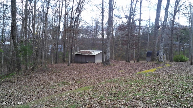 view of yard with a storage shed