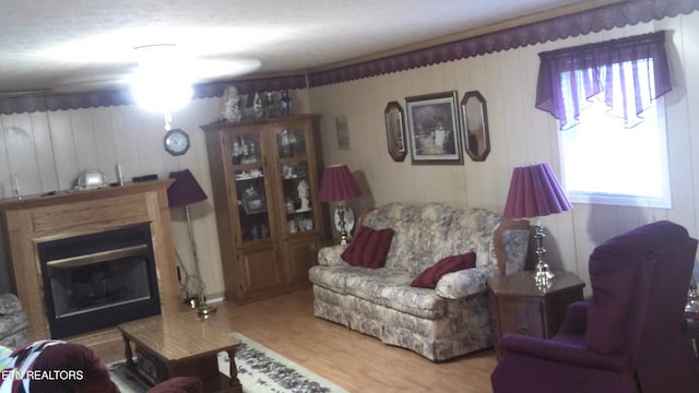 living room featuring hardwood / wood-style floors