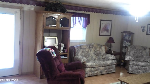 living room with wood-type flooring