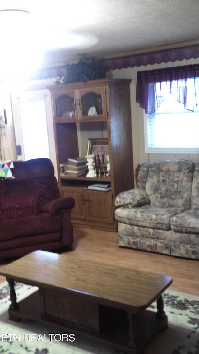 living room featuring hardwood / wood-style floors and a textured ceiling