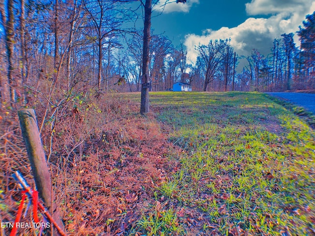 view of landscape