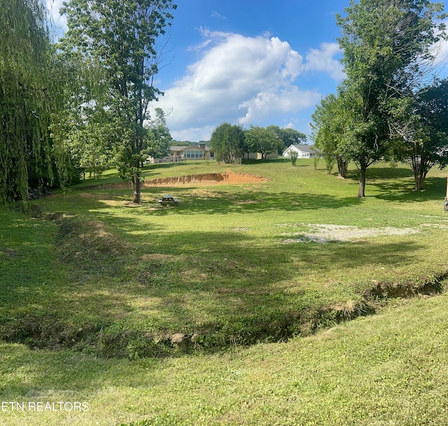 520 Pimlico Dr, Seymour, TN 37865 - photo 7
