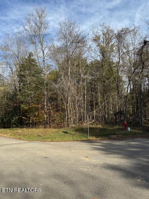 LOT1023 Cove Ln, Baneberry TN, 37890 land for sale