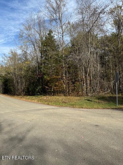 Listing photo 2 for LOT1023 Cove Ln, Baneberry TN 37890