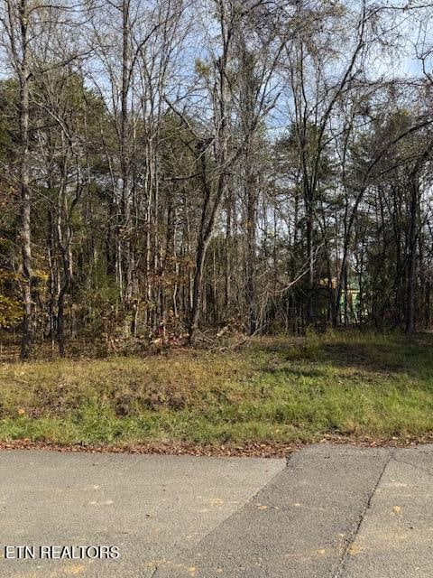 Listing photo 3 for LOT1023 Cove Ln, Baneberry TN 37890