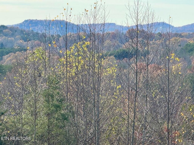 Listing photo 3 for TRACT1 Three Point Rd, Vonore TN 37885