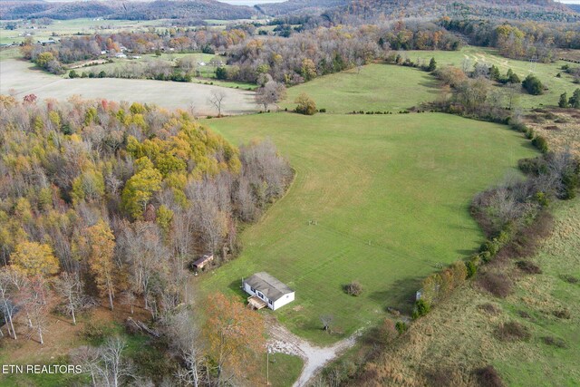 1476 Conrad Templeton Rd, Quebeck, TN 37579 - photo 25
