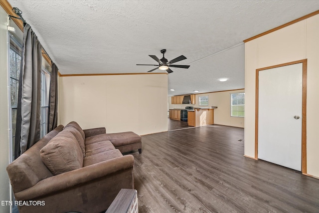 living room with ceiling fan, crown molding, wood-type flooring, and a textured ceiling