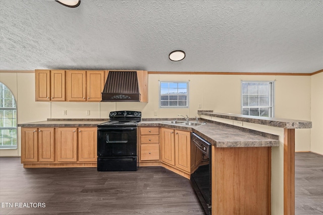 kitchen featuring premium range hood, a wealth of natural light, dark wood-type flooring, and black appliances