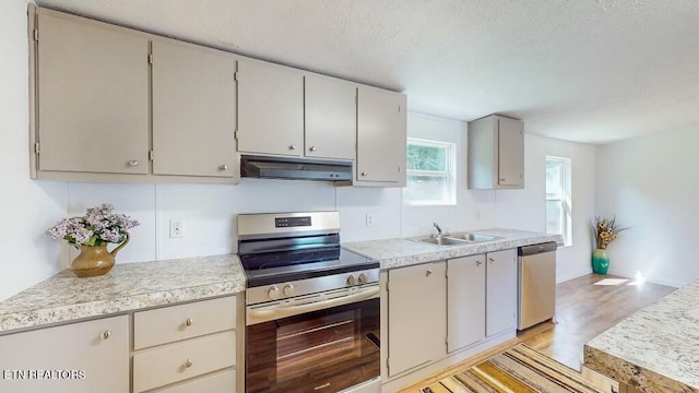 kitchen with stainless steel appliances, sink, gray cabinetry, and light hardwood / wood-style floors