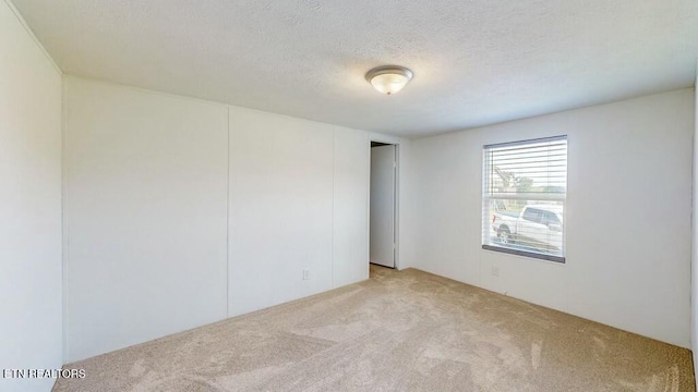 empty room featuring light carpet and a textured ceiling