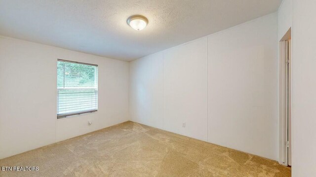 carpeted spare room featuring a textured ceiling