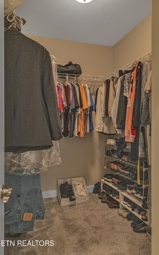 walk in closet featuring carpet floors