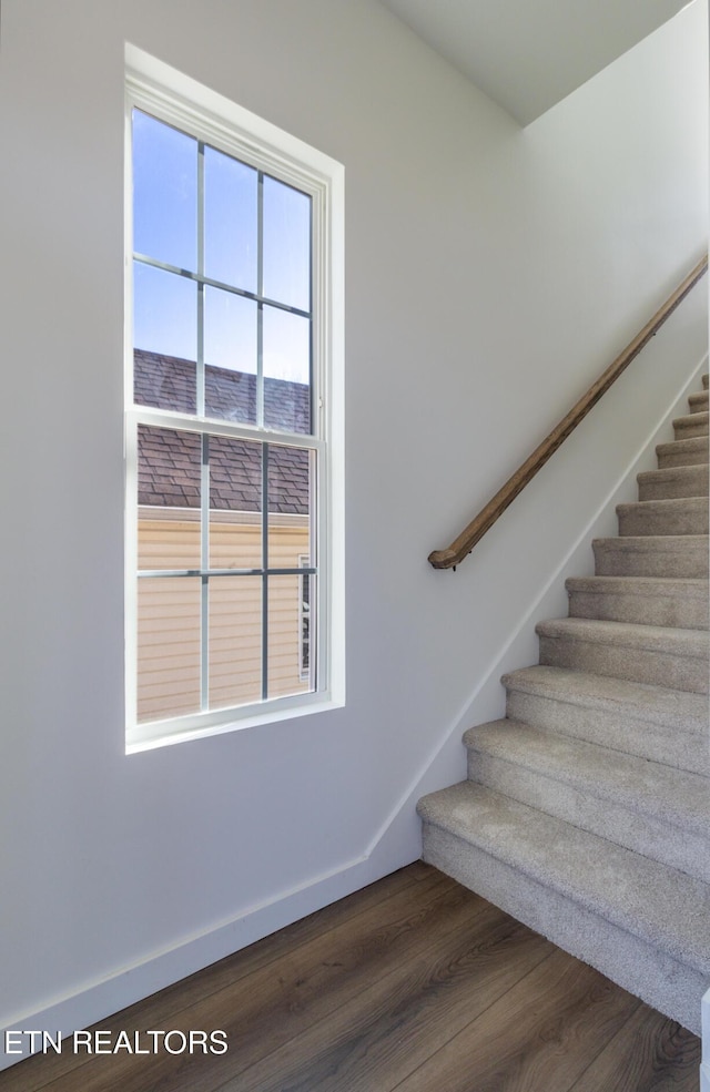 staircase with wood-type flooring