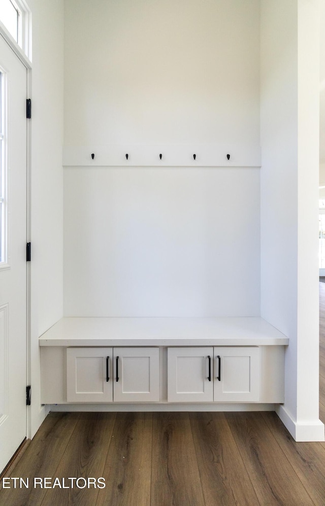 mudroom featuring dark hardwood / wood-style floors