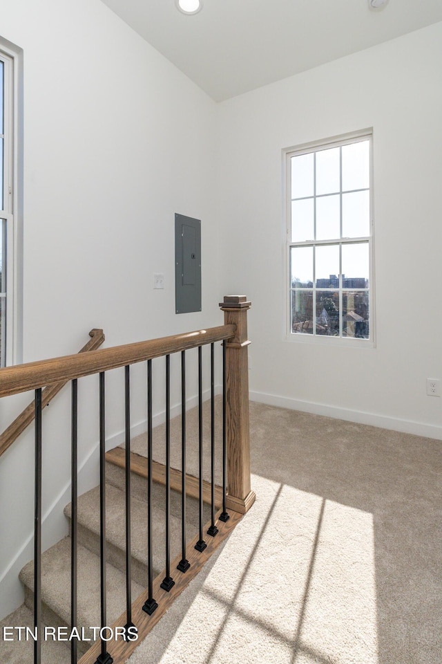 staircase featuring carpet flooring and electric panel