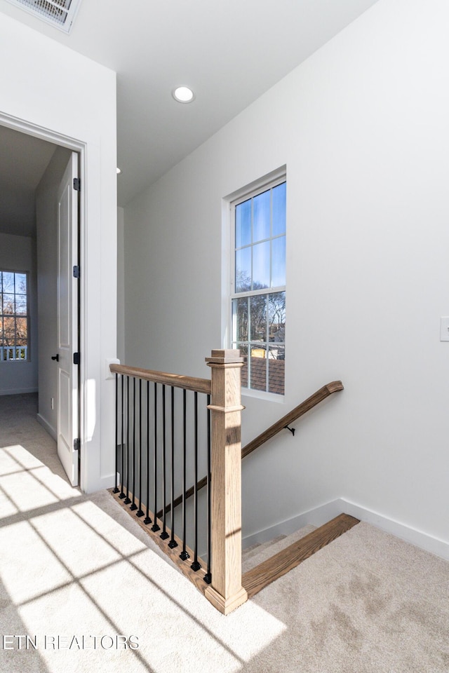 staircase with carpet flooring