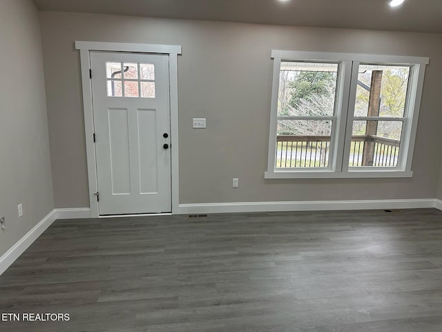 entryway featuring dark hardwood / wood-style floors and a wealth of natural light