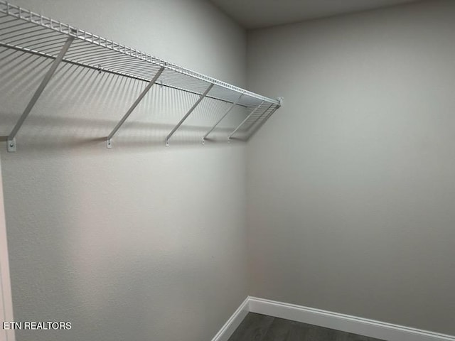 spacious closet featuring dark hardwood / wood-style flooring