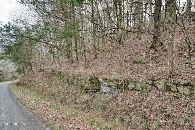 Listing photo 3 for Gladdice Hwy, Gainesboro TN 38562