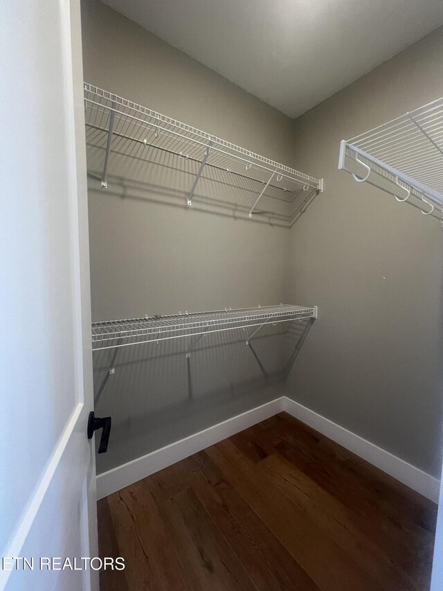 walk in closet with wood finished floors