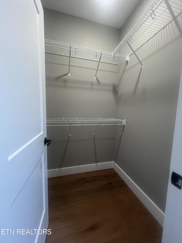 walk in closet featuring wood finished floors