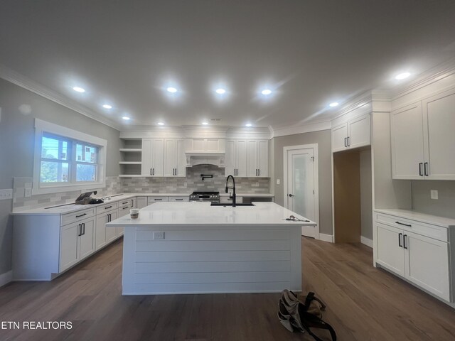 kitchen featuring a sink, a kitchen island with sink, and white cabinets