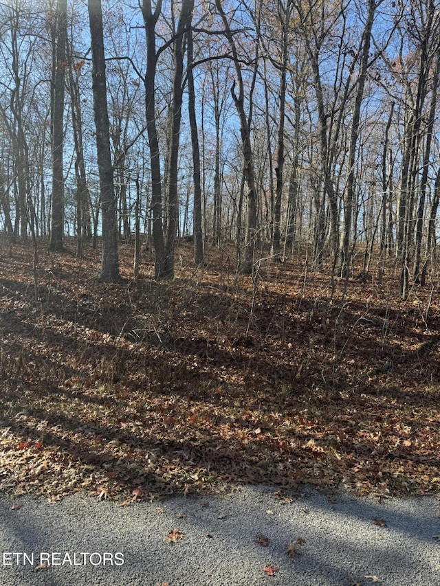 620 Catawba Ln, Crossville TN, 38572 land for sale