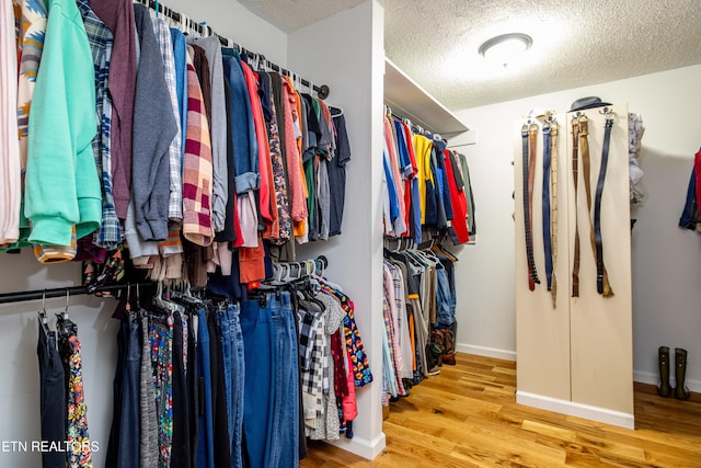 walk in closet with wood-type flooring