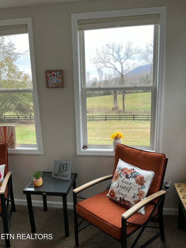 living area featuring carpet flooring