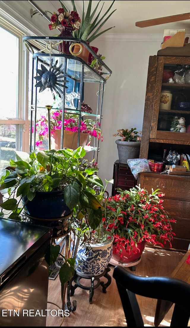 interior space featuring crown molding