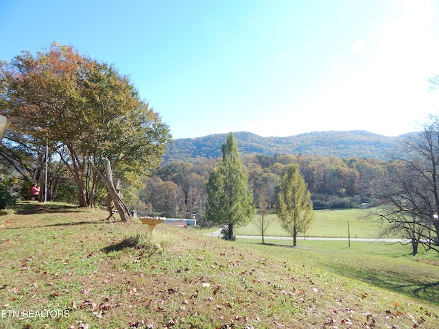 view of mountain feature with a rural view