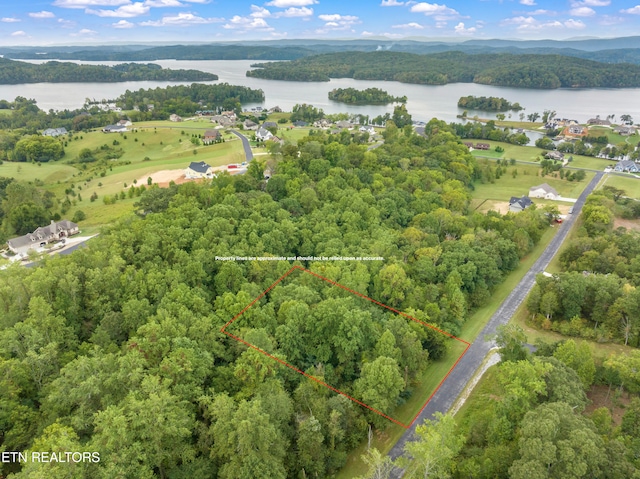 314 Eagle Ridge Dr, Rockwood TN, 37854 land for sale