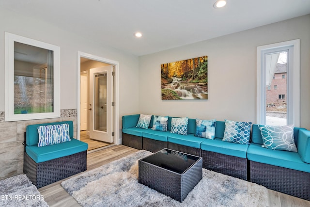 living room with hardwood / wood-style flooring