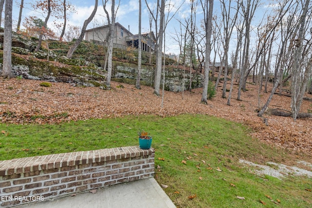 38 Markham Ter, Fairfield Glade, TN 38558 - photo 56