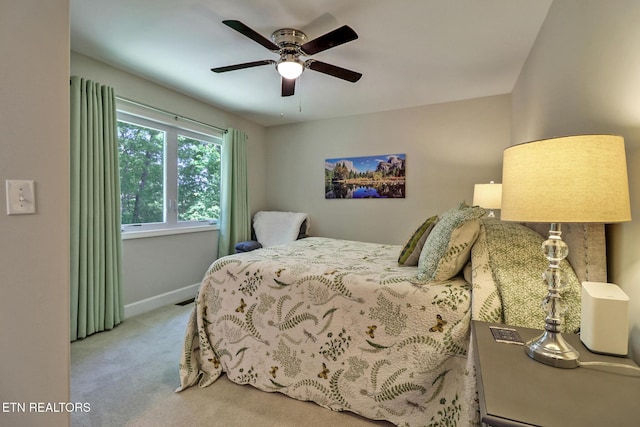 38 Markham Ter, Fairfield Glade, TN 38558 - photo 29