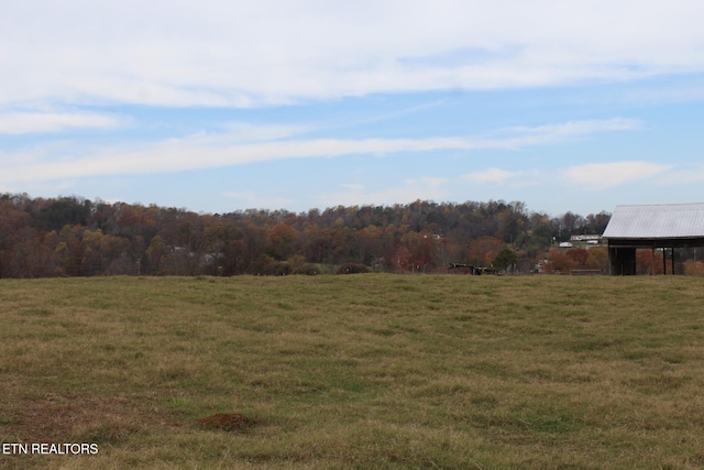 view of yard with a rural view