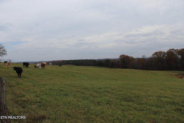 view of yard featuring a rural view