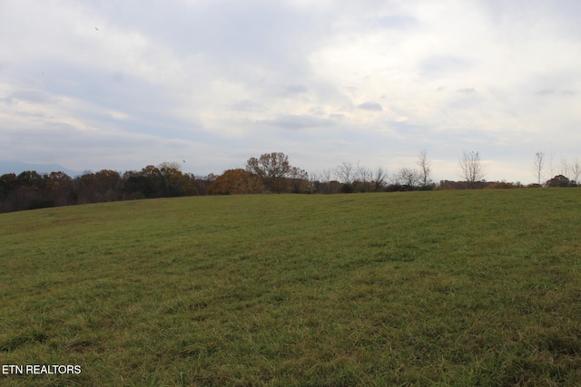 view of landscape featuring a rural view