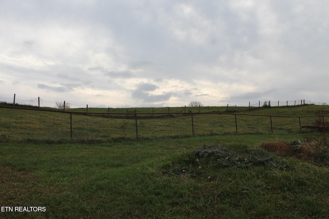 view of yard featuring a rural view