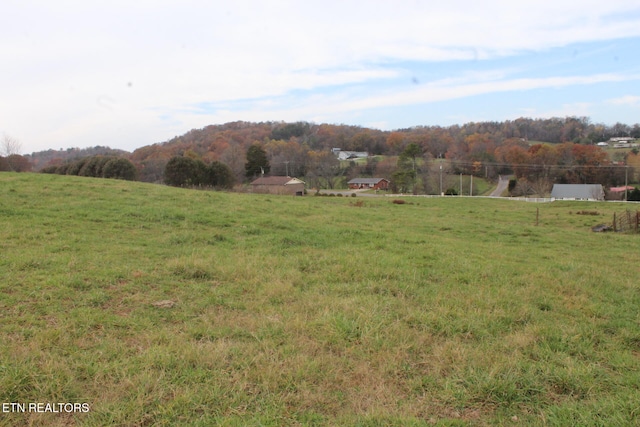 view of yard with a rural view