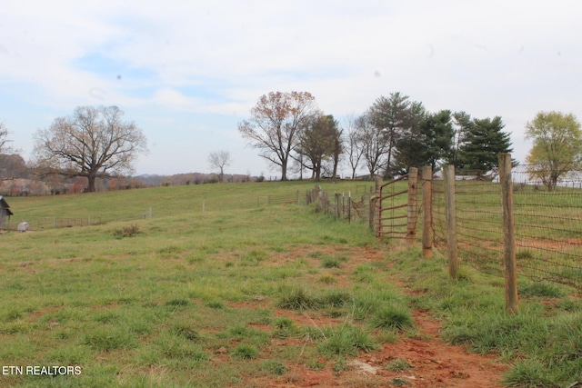 view of yard featuring a rural view