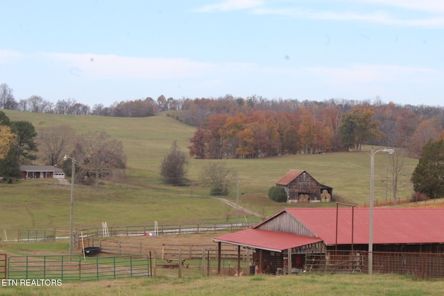 view of yard with a rural view