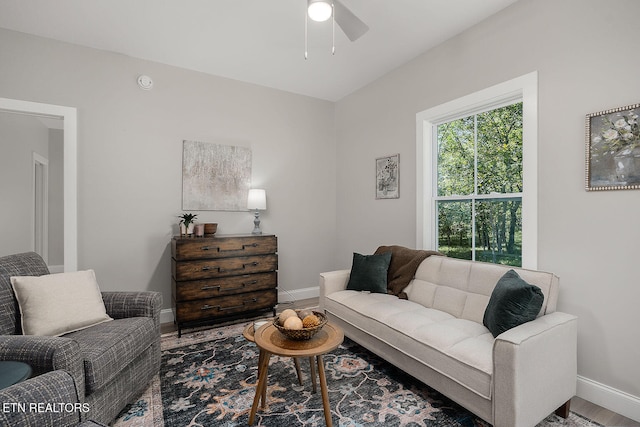 living room with hardwood / wood-style flooring and ceiling fan