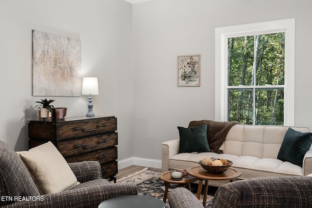 living room with hardwood / wood-style floors