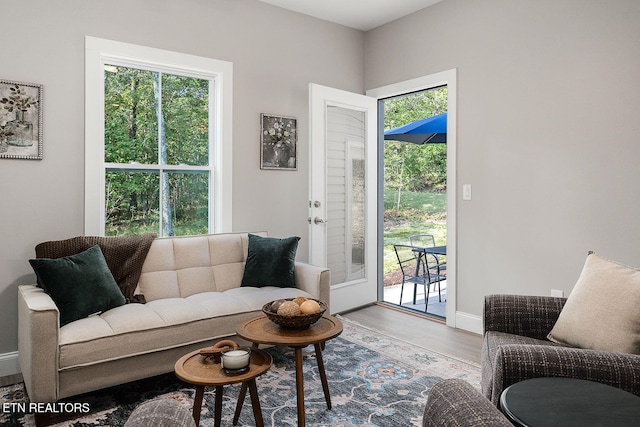 living room featuring hardwood / wood-style flooring