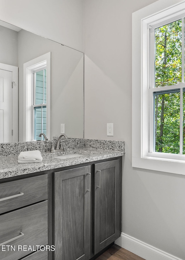 bathroom with hardwood / wood-style floors and vanity