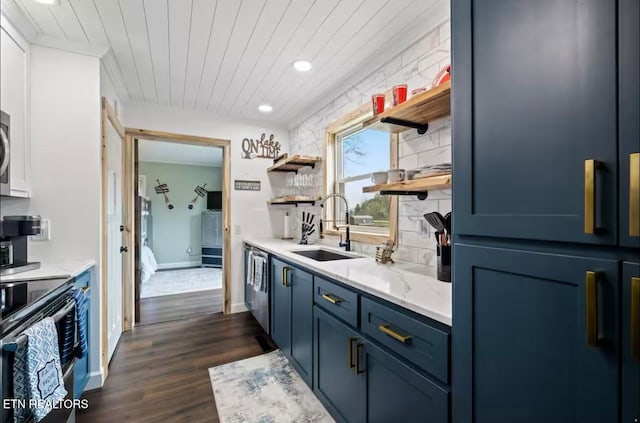kitchen featuring blue cabinetry, appliances with stainless steel finishes, dark hardwood / wood-style floors, and sink
