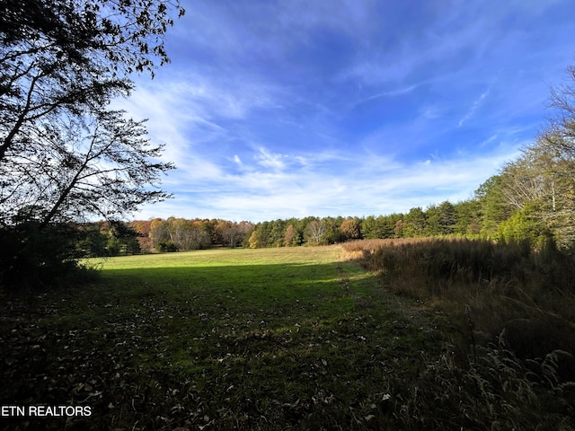 view of local wilderness