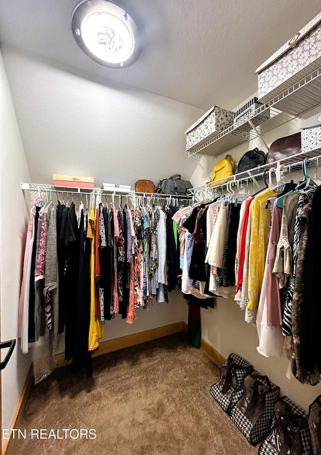 spacious closet with carpet